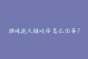 猫咪抱大腿咬你怎么回事?
