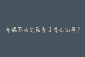 布偶耳朵前面秃了怎么回事?