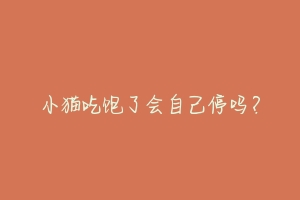 小猫吃饱了会自己停吗?