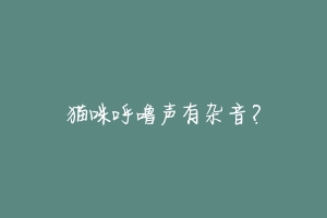 猫咪呼噜声有杂音?