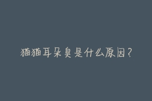 猫猫耳朵臭是什么原因？