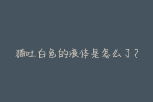 猫吐白色的液体是怎么了?