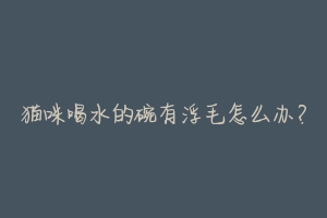 猫咪喝水的碗有浮毛怎么办?