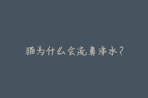 猫为什么会流鼻涕水?