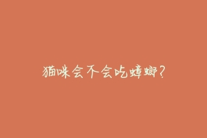 猫咪会不会吃蟑螂?
