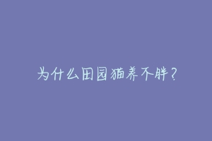 为什么田园猫养不胖?
