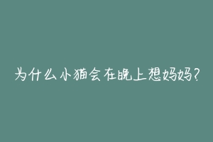 为什么小猫会在晚上想妈妈?