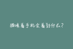 猫咪看手机会看到什么?