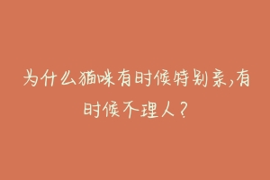 为什么猫咪有时候特别亲,有时候不理人?