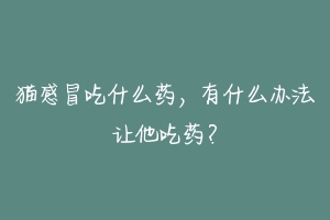 猫感冒吃什么药,有什么办法让他吃药?
