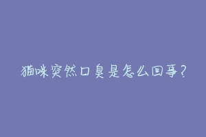 猫咪突然口臭是怎么回事?