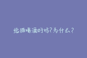 给猫喝酒好吗?为什么?