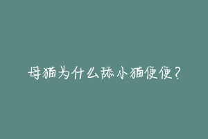 母猫为什么舔小猫便便?