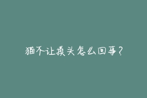 猫不让摸头怎么回事?
