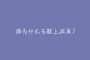 猫为什么在鞋上拉屎？