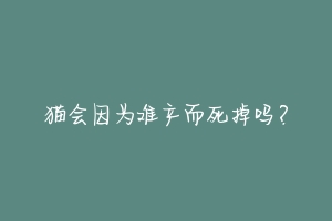 猫会因为难产而死掉吗?