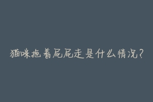 猫咪拖着屁屁走是什么情况？