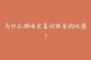 为什么猫咪会喜欢辣条的味道?