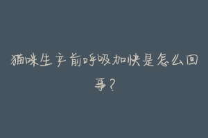 猫咪生产前呼吸加快是怎么回事?