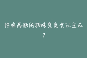 性格高傲的猫咪究竟会认主么?