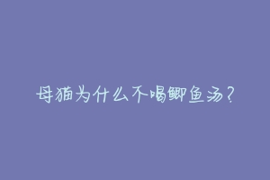 母猫为什么不喝鲫鱼汤?