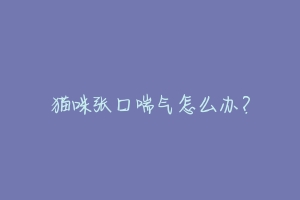 猫咪张口喘气怎么办?
