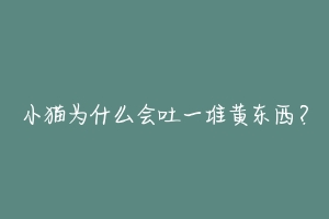 小猫为什么会吐一堆黄东西?