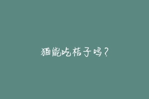 猫能吃桔子吗?