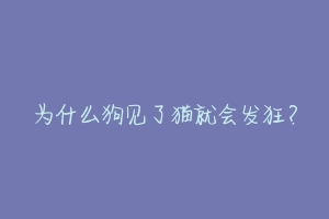 为什么狗见了猫就会发狂?