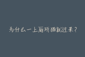 为什么一上厕所猫就过来?