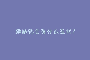 猫缺钙会有什么症状？