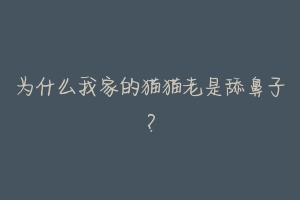 为什么我家的猫猫老是舔鼻子?