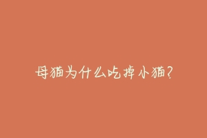母猫为什么吃掉小猫？