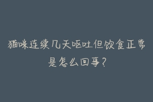 猫咪连续几天呕吐但饮食正常是怎么回事?