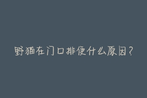 野猫在门口排便什么原因?