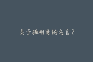 关于猫相爱的名言?