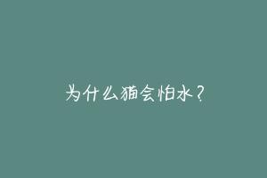 为什么猫会怕水?