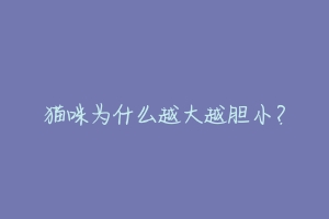 猫咪为什么越大越胆小?