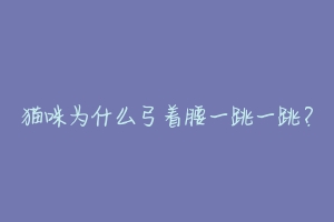 猫咪为什么弓着腰一跳一跳?