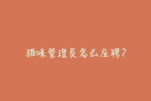 猫咪管理员怎么应聘?