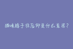 猫咪脖子往后仰是什么意思?