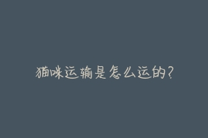 猫咪运输是怎么运的?