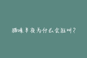 猫咪半夜为什么会狂叫?