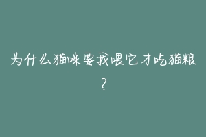 为什么猫咪要我喂它才吃猫粮?