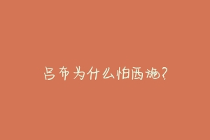 吕布为什么怕西施?