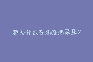 猫为什么在洗脸池尿尿?
