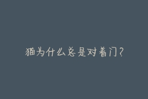 猫为什么总是对着门?