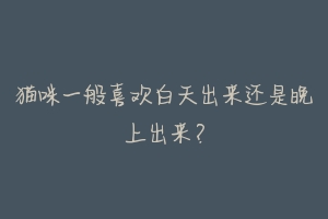 猫咪一般喜欢白天出来还是晚上出来?