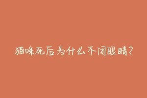 猫咪死后为什么不闭眼睛?