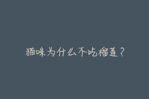 猫咪为什么不吃榴莲?